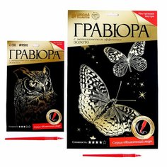 Набор гравюр «Сова и бабочки» (комплект из 9 шт) Школа талантов