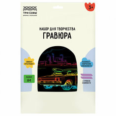 Гравюра с мультицветной основой ТРИ совы "Городской гонщик" А4 1 шт