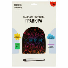 Гравюра с мультицветной основой ТРИ совы "Фея", А4 - 2 шт.