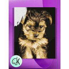 Картина по номерам на холсте Йоркширский Терьер, 30 х 40 см КУЛЬТУРА ЦВЕТА