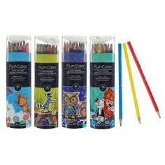 Карандаши цветные 36 цветов Funcolor пластиковые, в картонной тубе, микс из 4 видов Bruno Visconti