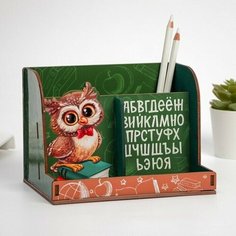 Органайзер развивающий "Сова" Нет бренда