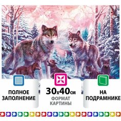 Картина стразами (алмазная мозаика) 30х40 см, остров сокровищ "Волки", на подрамнике, 662423