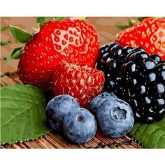 Картина по номерам Сочные ягоды 40х50 см 000 Art Hobby Home