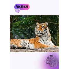 Алмазная мозаика стразами "Амурский тигр" 30х40 см Full OF Benefit