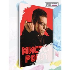Картина по номерам Мистер Робот - Mr Robot, 40 х 60 см