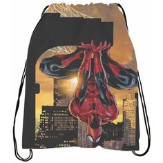 Мешок для обуви Человек-паук - Spider-Man № 18 Bugrikshop