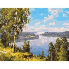 Картина по номерам Широкие просторы 40х50 см АртТойс