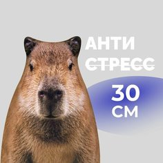 Антистресс игрушки для взрослых и детей Mega Toys Капибара Ромарио, подушка с шариками для рук Мега Тойс