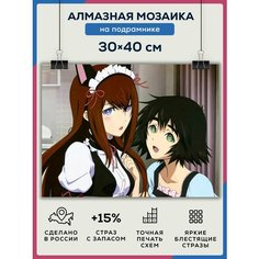 Алмазная мозаика картина "Аниме" 30х40 на подрамнике, полная выкладка квадратными стразами/ Врата Штейна Даймонд Канвас