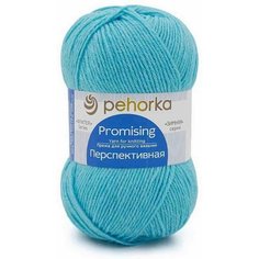 Пряжа Пехорка Перспективная светлая бирюза (223), 50%акрил/50%шерсть мериноса, 266м, 100г, 2шт