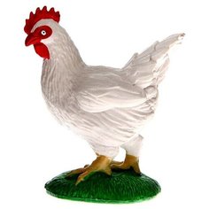 Обучающий набор «Этапы развития куриц» 4 фигурки Noname