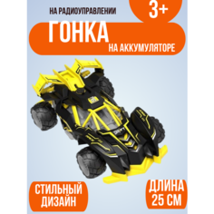 Машинка на радиоуправлении на аккумуляторе в коробке Shantou City Plastic Toy Industrial Сo., Ltd