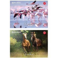 Альбом для рисования Brauberg "Живая природа", 32 л, А4, на скрепке