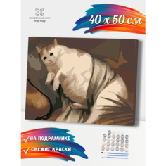 Картина по номерам Толстый грустный кот мем Hobruk