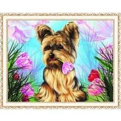 Алмазная мозаика собака HWA4776 на подрамнике 40х50см Нет бренда