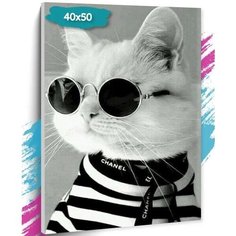 Картина по номерам "Кот в очках", Холст на подрамнике, 40х50 см, Раскраска, Живопись Нет бренда