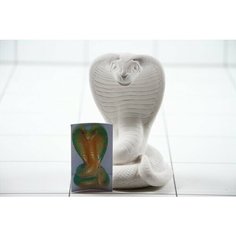 Раскраска гипсовая Кобра 14 Opt Baza