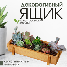 Декоративный ящик из натурального дерева, коричневый цвет без бренда