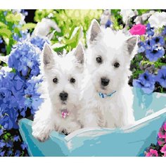 Картина по номерам Братишки 40х50 см Hobby Home