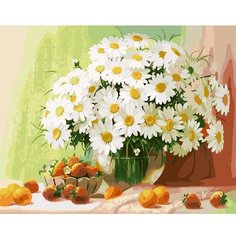 Картина по номерам Ромашки 40х50 см Hobby Home