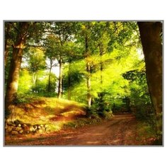 Алмазная мозаика Магия леса 40x50 см. Milato