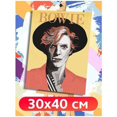 Картина по номерам Музыка Dawid Bowie Дэвид Боуи - 6378 В 30x40