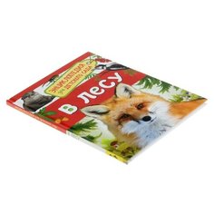Энциклопедия для детского сада «В лесу» Росмэн