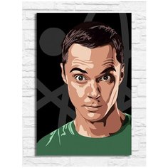 Картина по номерам на холсте сериал Теория большого взрыва (Шелдон Купер) - 8727 В 20x30
