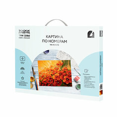 Картина по номерам на холсте ТРИ совы "Маковое поле", 40*50см, с акриловыми красками и кистями (арт. 335109)