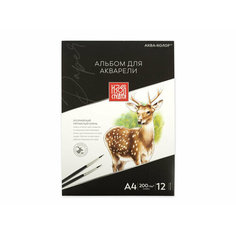 Альбом для акварели Изостудия Аква-колор 200 г/м2 A4 30 х 21см склейка IZO-AWG-A4 ИНТЭК
