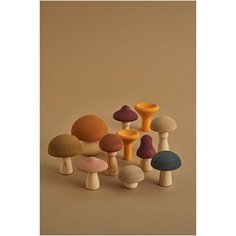 Игровой набор Радуга Грез Грибы RG02012