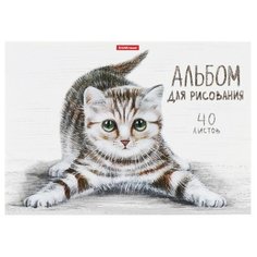 Альбом для рисования А4, 40 листов на клею tabby, обложка мелованный картон, жёсткая подложка, блок 120 г/м2 Erich Krause