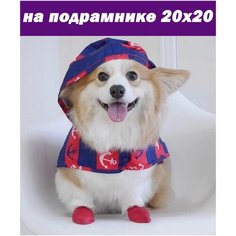 Алмазная мозаика на подрамнике 20х20 частичная выкладка собака Стиль для Дома