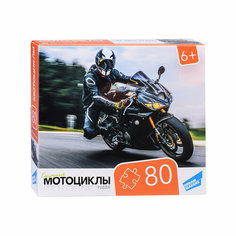 Пазлы 80 "Мотоциклы" Dream Makers