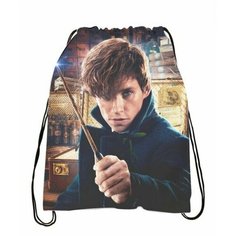 Мешок для обуви Fantastic Beasts, Фантастические твари №4 Anima Shop