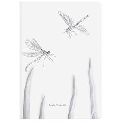 Тетрадь евро А5 40 л. BRUNO VISCONTI сшивка, клетка, Soft Touch, бежевая бумага 70 г/м2, "DRAGONFLY", 7-40-001/04