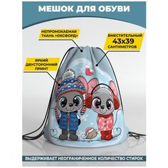 Мешок для сменной обуви Homepick 38х42 см Friends/906/