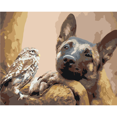 Картина по номерам Овчарка и сова на стену Палитра забав