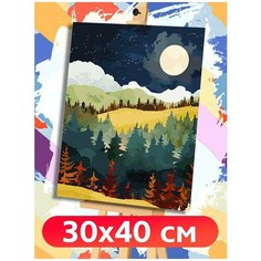 Картина по номерам пейзаж (зимняя ночь) - 7868 В 30x40