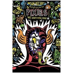 Картина по номерам на холсте Pixies - 135 40X60