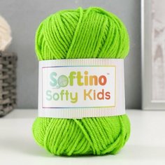 Пряжа 100% акрил "Softy Kids" 90м ±5м 50 гр цвет 47 лайм (2 шт) Softino