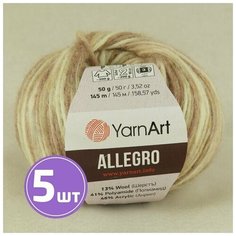 Пряжа YarnArt Allegro (750), мультиколор, 5 шт. по 50 г