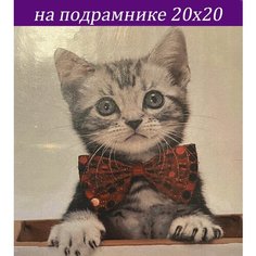 Алмазная мозаика на подрамнике 20х20 кот частичная выкладка Стиль для Дома