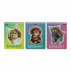 Блокнот А6, 40 листов на гребне "Котики бывают разными", обложка мелованный картон, УФ-лак, блок 65 г/м², микс Hatber