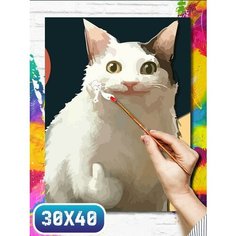 Картина по номерам на холсте милота кот - 12300 30х40