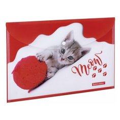 Папка-конверт на кнопке Brauberg Funny Cat (А4, 160мкм, цветная печать (228038), 12шт.
