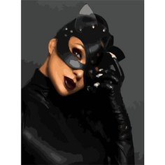 Картина по номерам Леди-кошка 40х50 см АртТойс