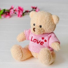 Мягкая игрушка "Медведь", 20 см, кофточка с надписью Нет бренда