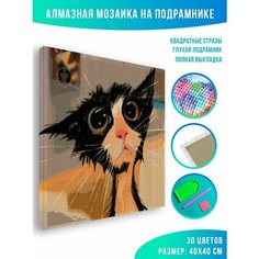 Алмазная мозаика на подрамнике - вышивка Мокрый кот 40 х 40 см Красиво Красим